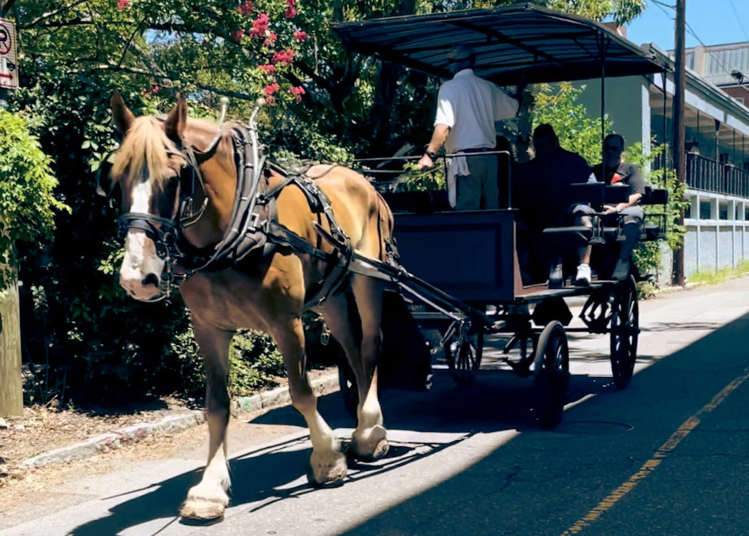 Horse and carriage