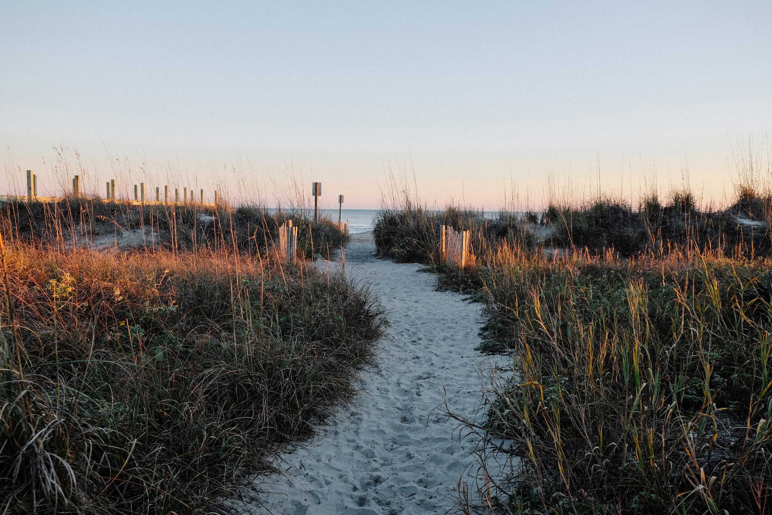 kelsey-schisler-ei6rrkx80s0-unsplash