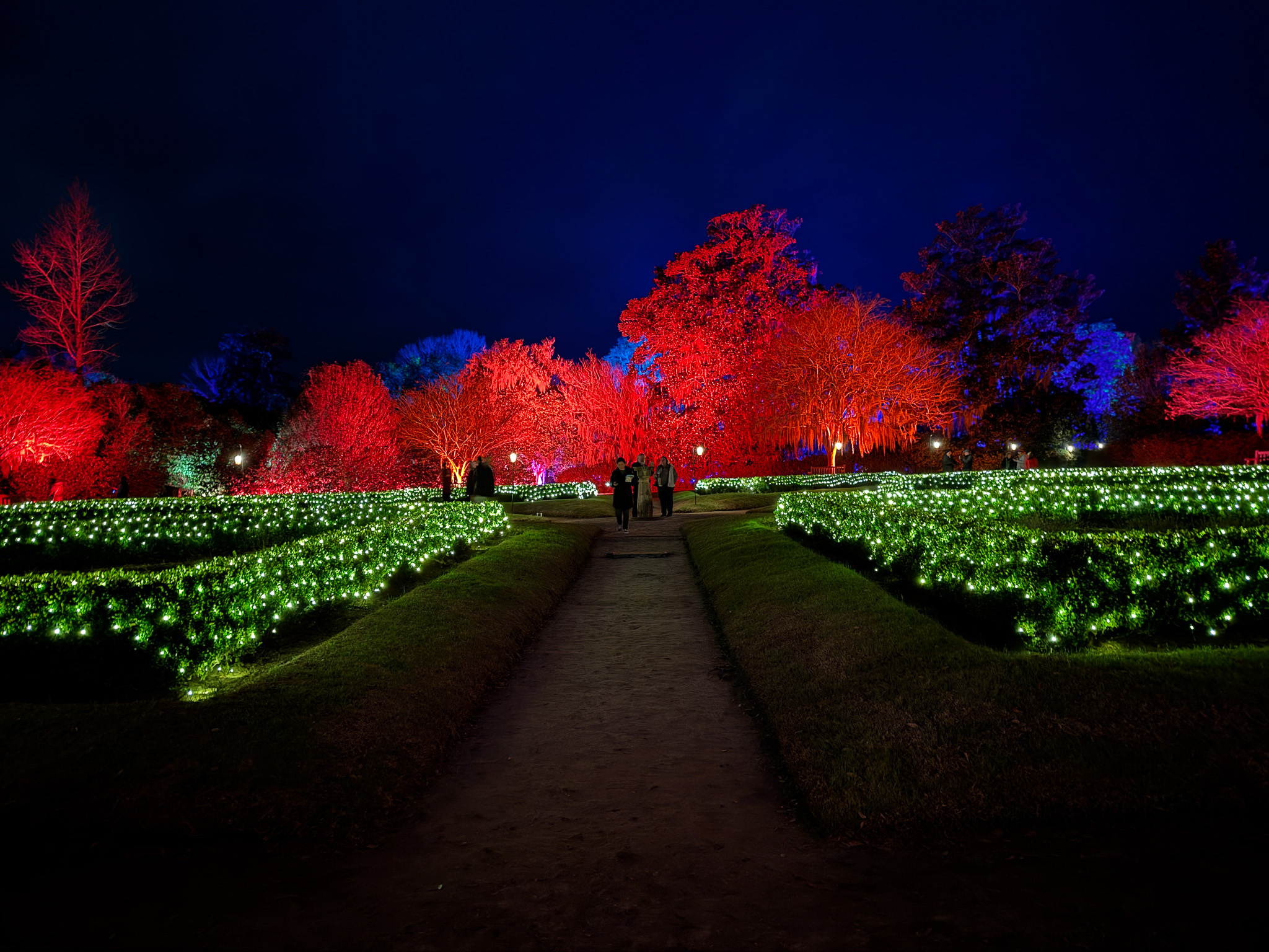 Garden Lights Middleton Place