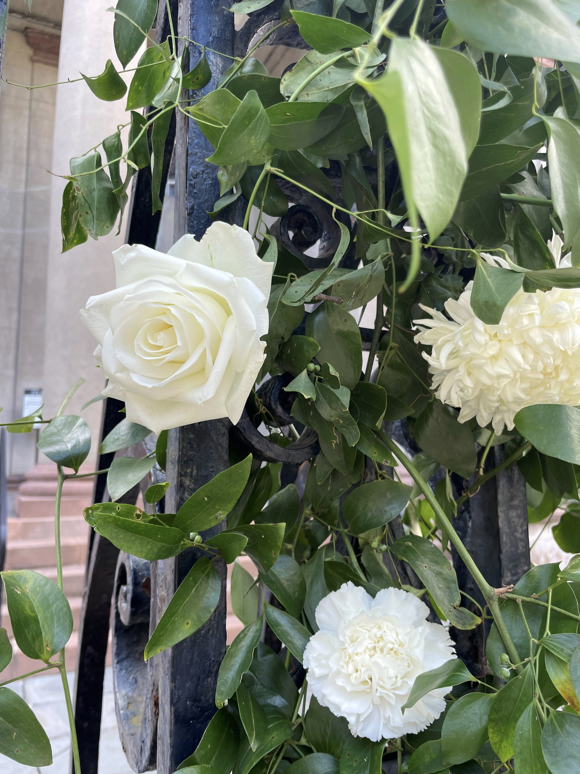House and Garden Tours