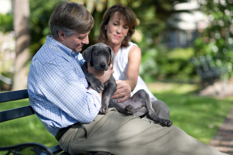 couple sitting on a bench with a puppy