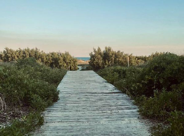 Sullivan's Island
