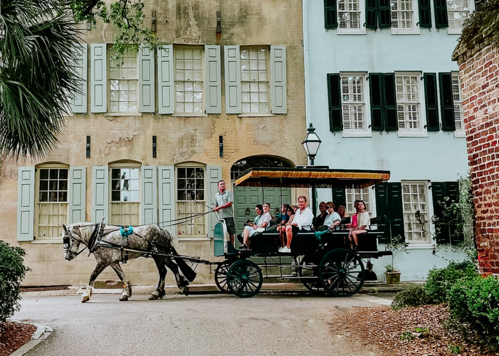 Horse and carriage ride with Palmetto Carriage Works