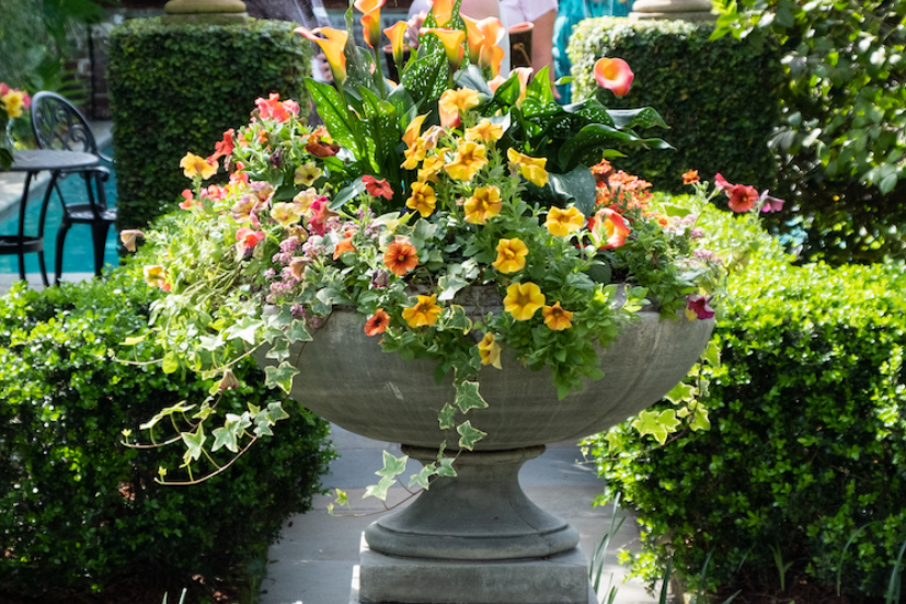 The Charleston Festival