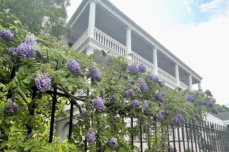 House and Garden Tours