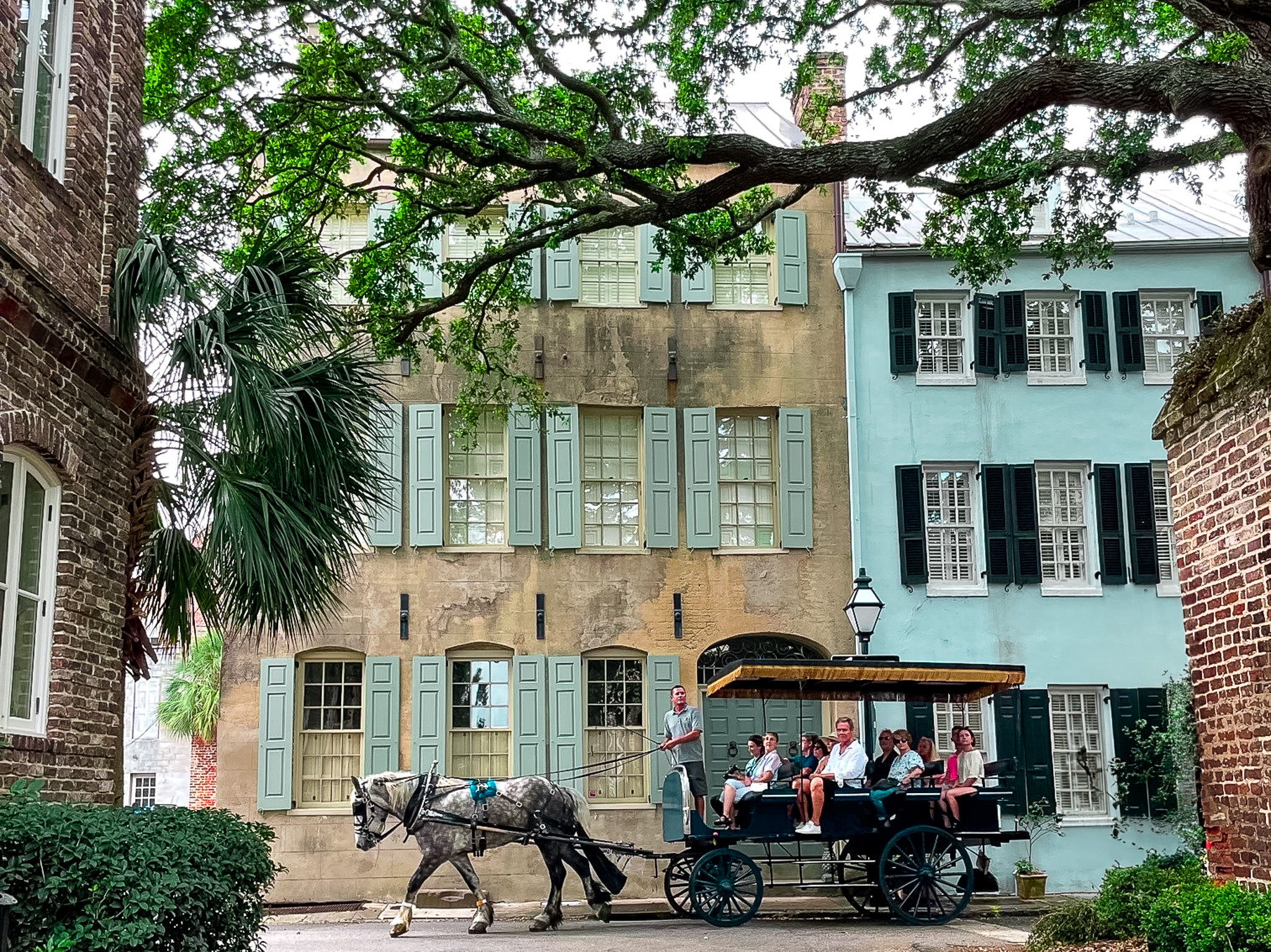 Horse and Carriage on Bedon's Alley