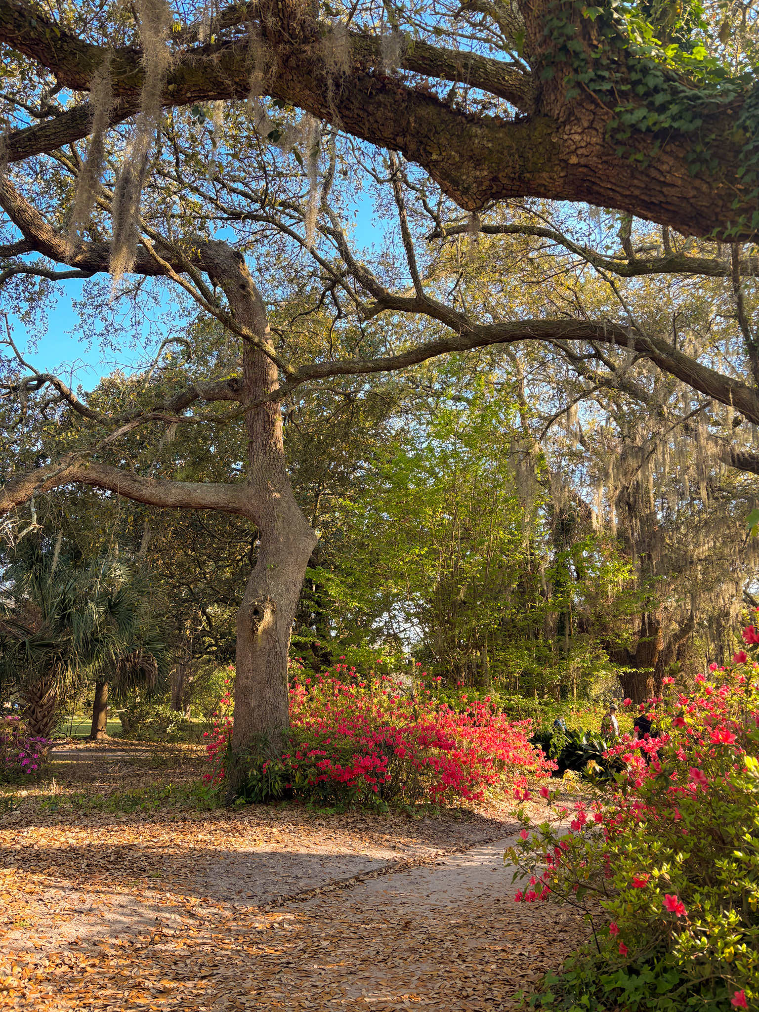 Hampton Park
