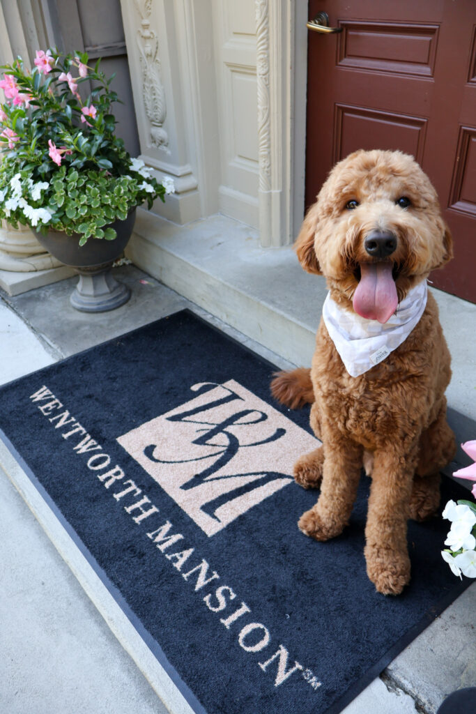 Dog-friendly rooms at Wentworth Mansion