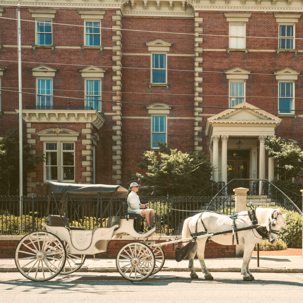 horse and carriage