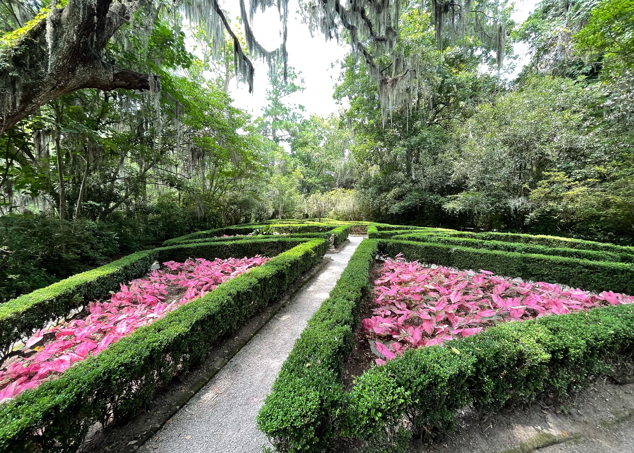 Magnolia Gardens