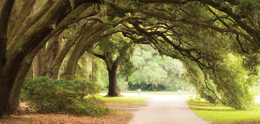 Things To Do In Charleston SC - Wentworth Mansion