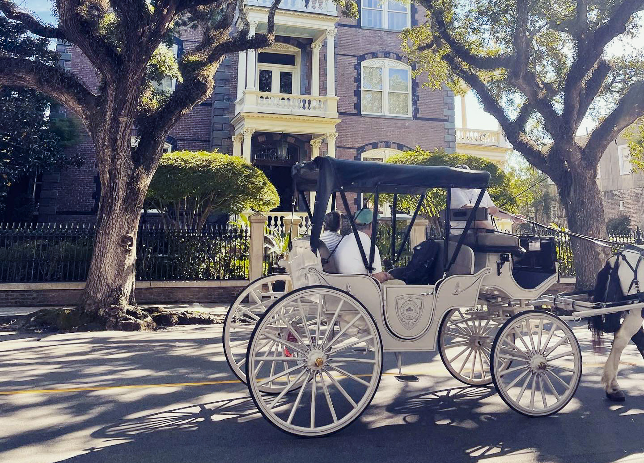 Private Carriage Tour with Palmetto Carriage Works