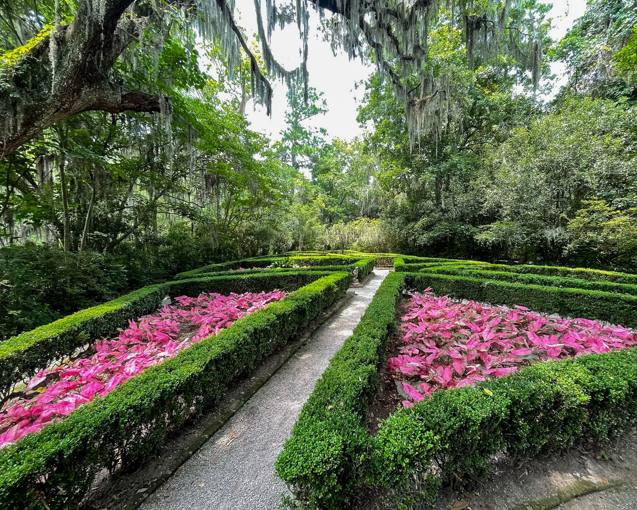 Magnolia Gardens